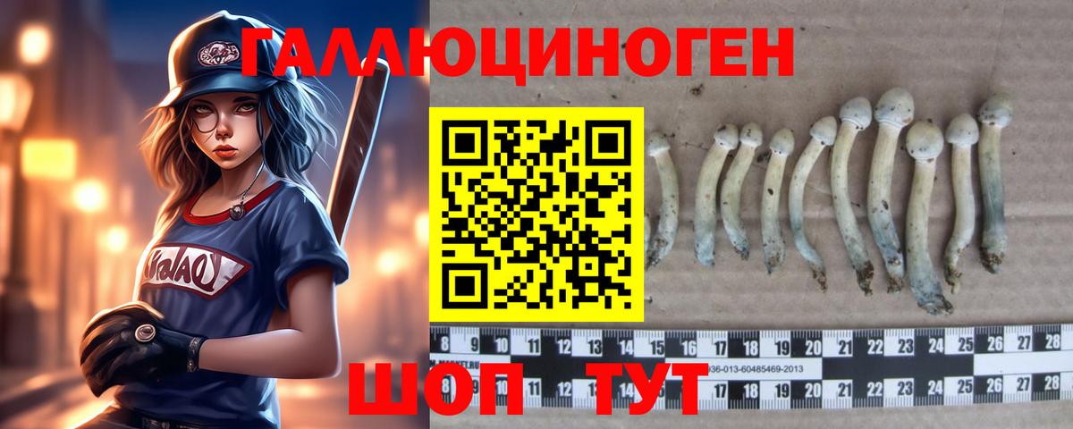 Псилоцибиновые грибы мухоморы  Галлюциногенные грибы Psilocybine cubensis  Кудымкар  Вход с VPN 